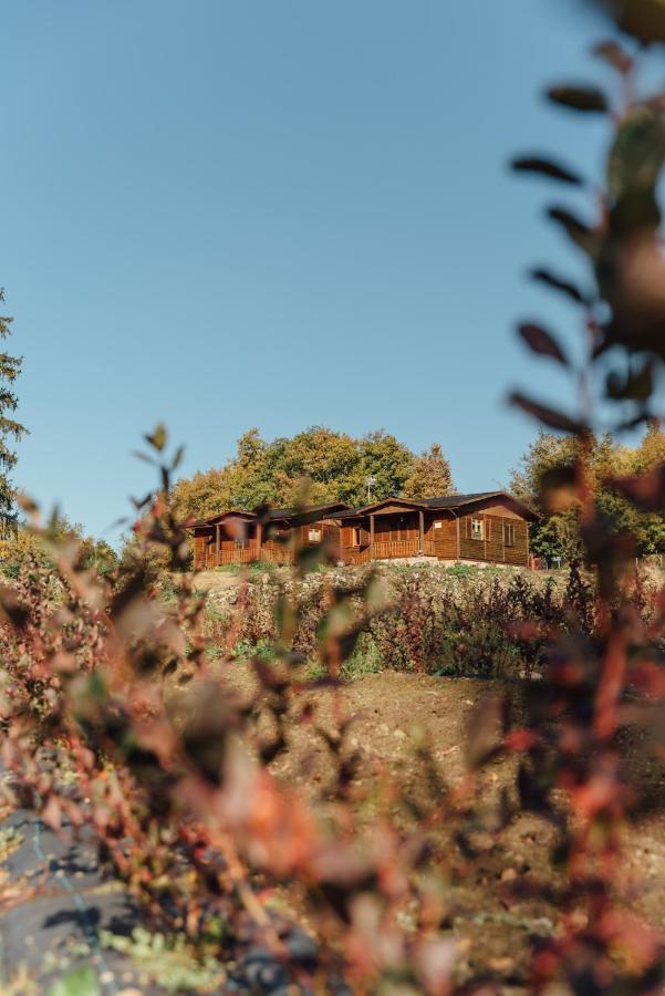Alojamiento Turistico La Alegria De La Huerta Cepeda ภายนอก รูปภาพ