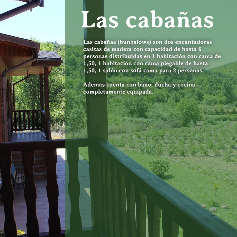 Alojamiento Turistico La Alegria De La Huerta Cepeda ภายนอก รูปภาพ