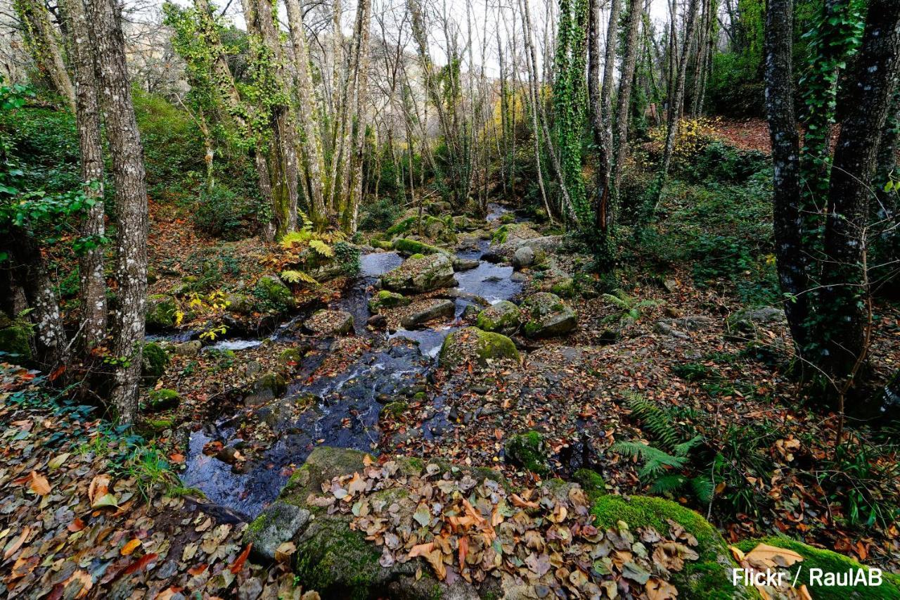 Alojamiento Turistico La Alegria De La Huerta Cepeda ภายนอก รูปภาพ