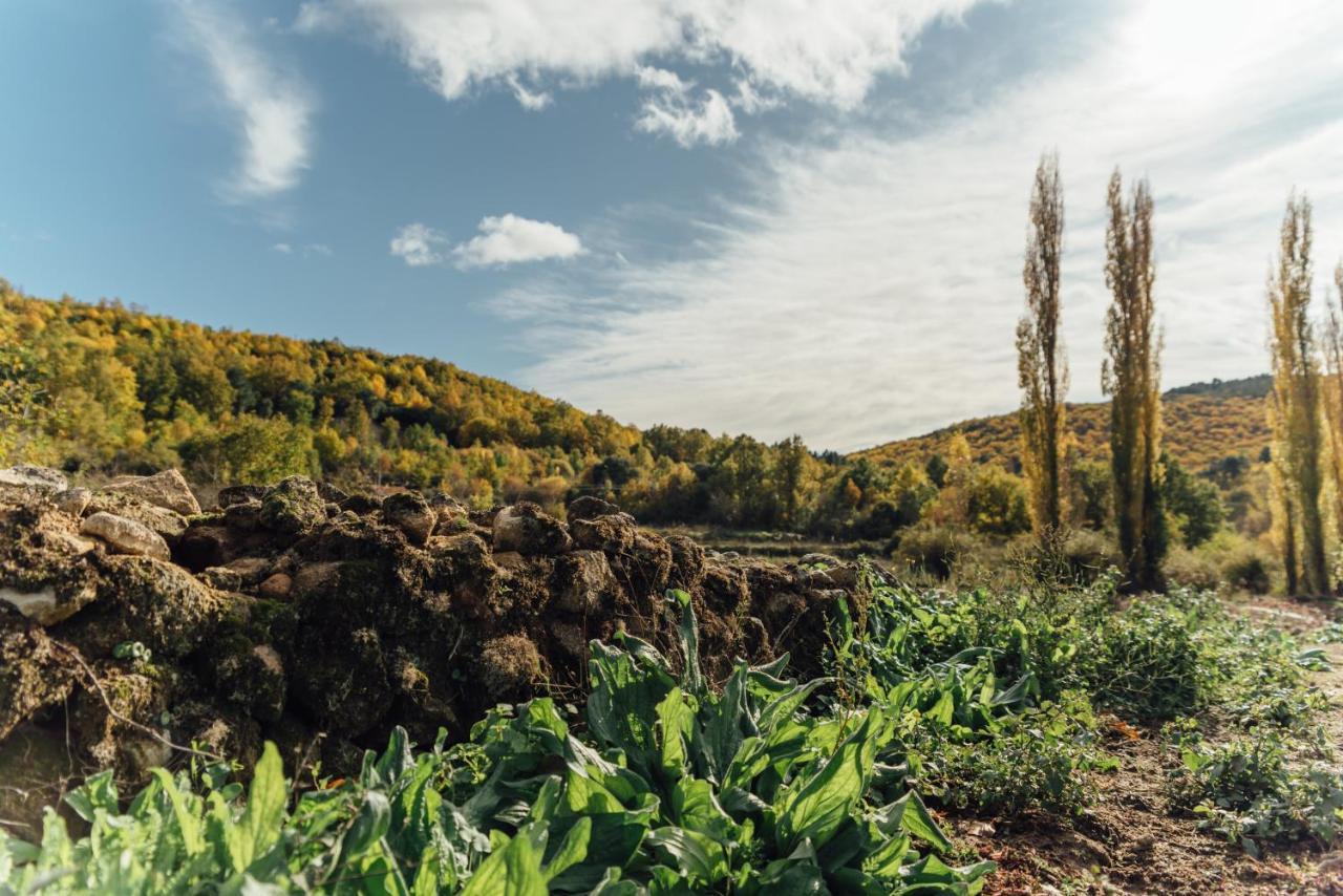 Alojamiento Turistico La Alegria De La Huerta Cepeda ภายนอก รูปภาพ