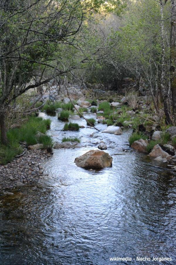 Alojamiento Turistico La Alegria De La Huerta Cepeda ภายนอก รูปภาพ