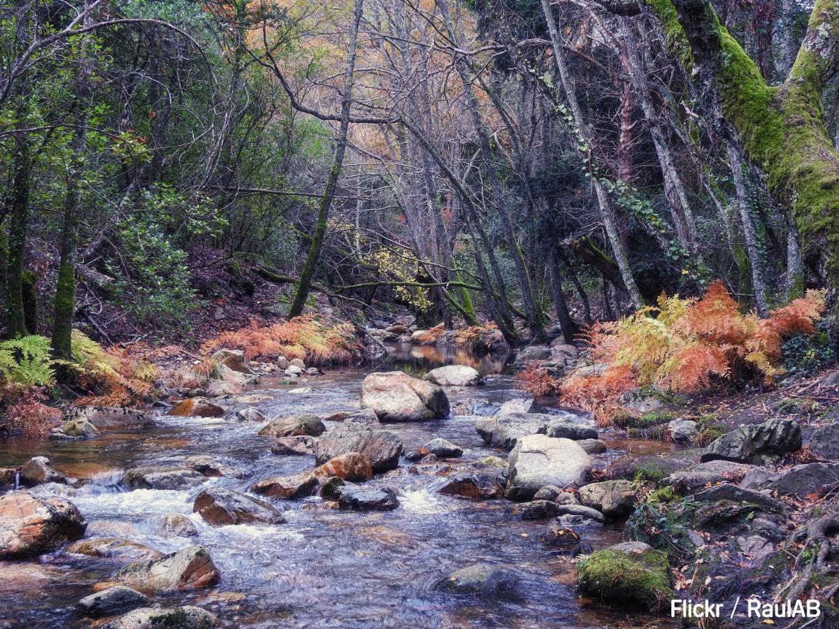 Alojamiento Turistico La Alegria De La Huerta Cepeda ภายนอก รูปภาพ